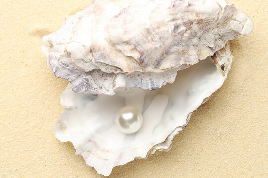 Oyster shell with pearl on sand, above view