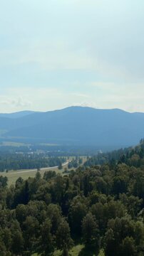 Drone footage of dense green forest, open valley and winding road with hazy mountain range in the background, summer landscape in Altai, Russia