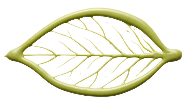Nature leaf design art green environment png format high fidelity visuals creative perspective
