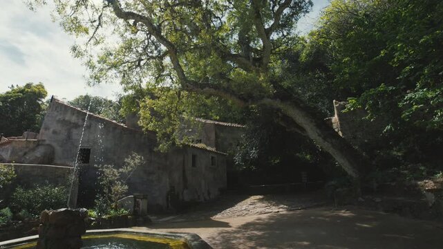 Old stone buildings and a fountain in a convent garden