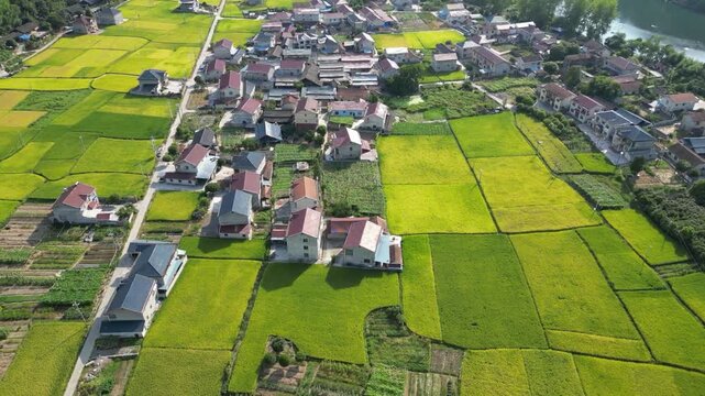Aerial View of Rural Village and Rice Fields