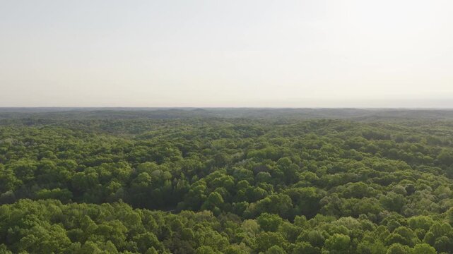 Drone shot aerial moving above south southern Ohio near Ray, OH and Hocking Hills with green tree canopy, sweeping hill hills, and natural midwest woods, rural tree country, and forested landscape 4k