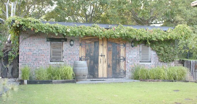 Light breeze is making vines and tall grasses on brick outbuilding sway while sunlight is shifting