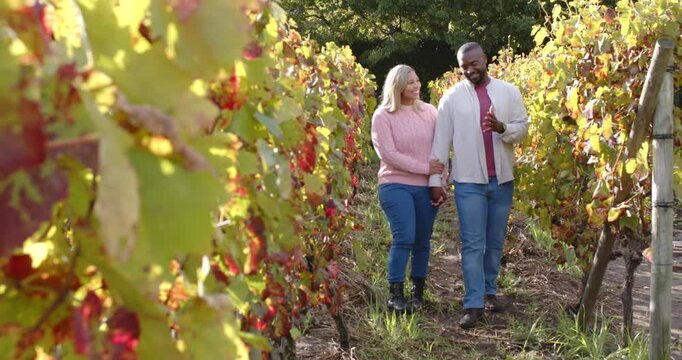 African American couple walking between grapevines, man in jacket checking smartphone, sharing text