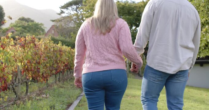 Mid adult woman and African American man holding hands walking along grassy vineyard path to house