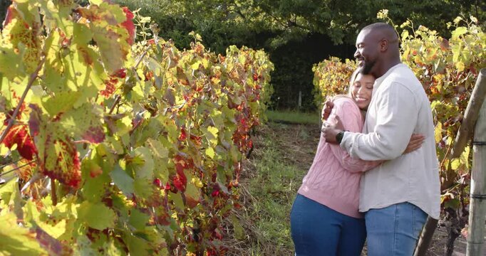 Sun urging African American couple hugging among grapevines, pink jacket, watch visible, copy space