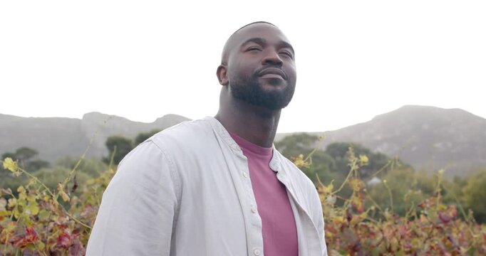 Adult African man standing in vineyard, looking upward at bright sky and smiling, wearing pink tee