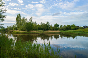 Fototapeta premium A scenic view of a quiet pond reflecting a blue sky with clouds in a green park