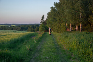 Fototapeta premium Man walking with backpack along grassy country road next to green agricultural field at dusk. Distant person hiking on dirt path near birch forest edge under soft evening sky. Scenic rural panorama
