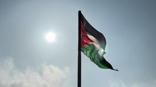 Palestine Flag
