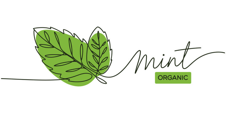 Mint, spearmint vector illustration.Background for label design. One continuous line art drawing illustration with lettering organic mint, Mint leaf with text in continuous one line drawing. Healthy
