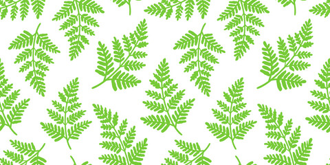 Green ecological fern pattern hand drawn bright botanical leaf isolated on white background for textile and wallpaper print © pani_Nadichka