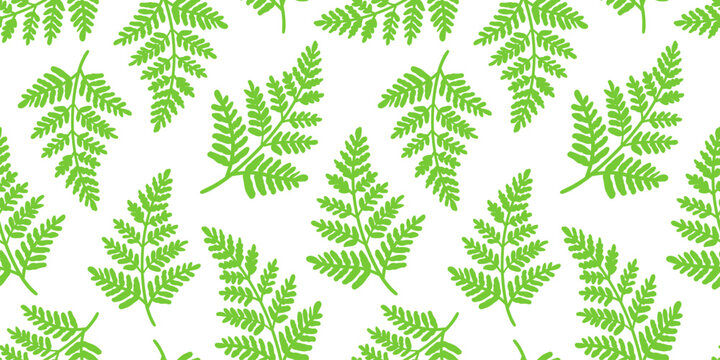 Green ecological fern pattern hand drawn bright botanical leaf isolated on white background for textile and wallpaper print