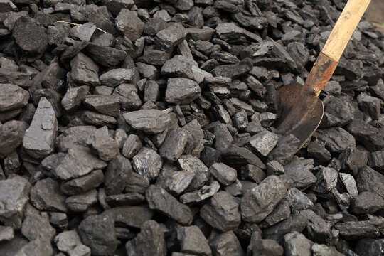 Dark coal litters the ground, coarse and wet