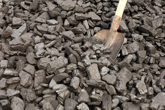 Dark coal litters the ground, coarse and wet