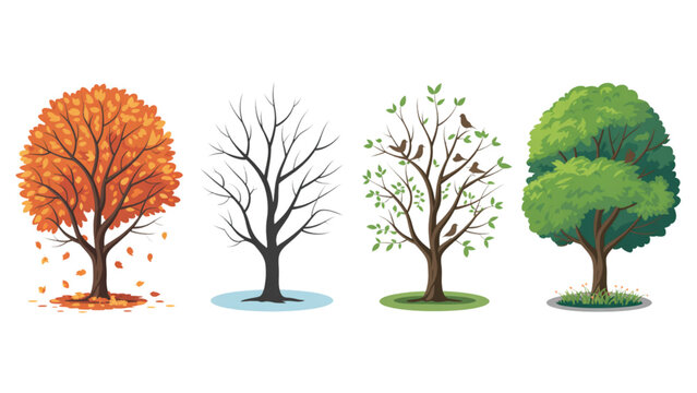 Four colorful trees changing seasons with water reflection in a serene landscape
