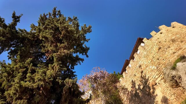 Ancient stone fortress wall with crenellations and tall cypress tree against clear blue sky antalya.