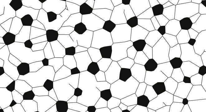 Black and White Voronoi Pattern Design