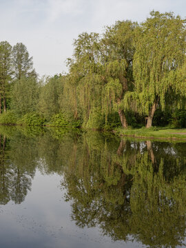 An der Berkel im M&uuml;nsterland