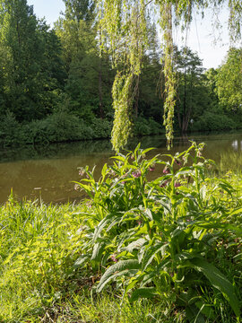 An der Berkel im M&uuml;nsterland