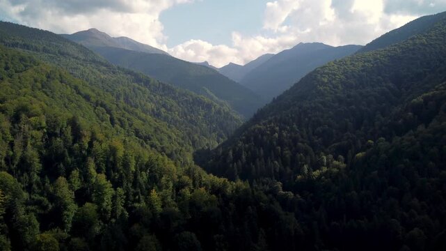 Aerial drone view of Sambata Valley in the Fagaras Mountains, Romania, with forested slopes, alpine peaks, clouds and dramatic Carpathian landscape