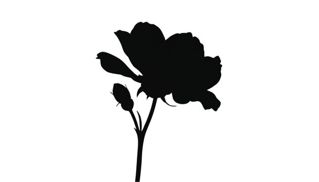 Single black rose silhouette with two delicate buds stands prominently on a clean white background.