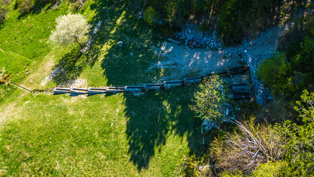 Drone view of a vibrant spring hillside in Croatia's Karst region. A winding path and old wooden troughs lead through lush greenery under bright afternoon sun. Brgucka korita. Ucka park