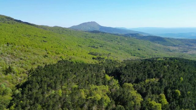An expansive aerial view of the lush green Ucka mountain range and surrounding forests under a bright, clear spring sky in Istria, Croatia.