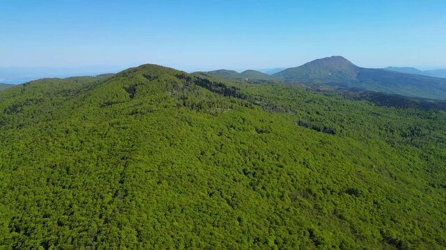 An expansive aerial view of the lush green Ucka mountain range and surrounding forests under a bright, clear spring sky in Istria, Croatia.