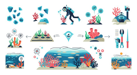 Coral Reef Restoration Infographic Set © gacor20