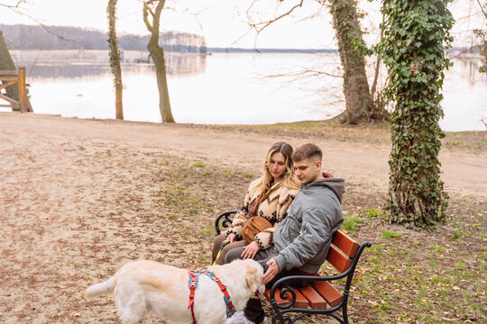 Young Couple Resting Near Lake With Golden Retriever During Quiet Autumn Evening