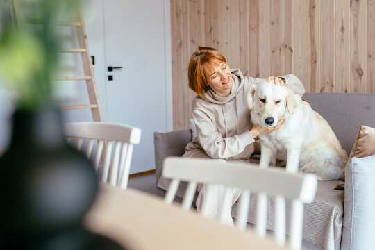 Smiling Mature Woman Hugging Golden Retriever In Bright Scandinavian Tiny House