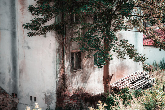 Weathered courtyard wall in Spain with leafy tree shadows, barred windows, vines, stacked wooden pallets and rustic plaster textures beside overgrown plants
