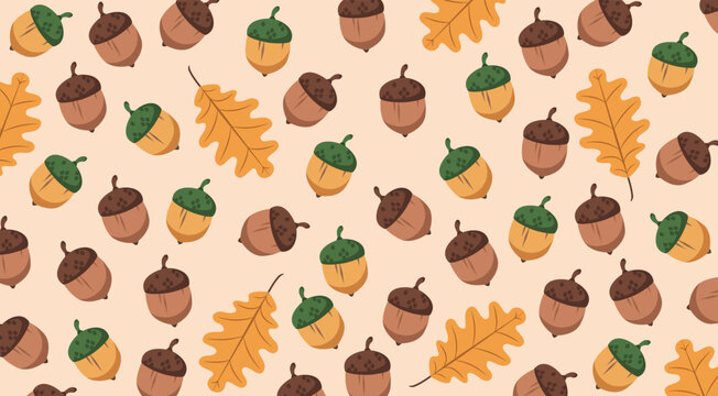 Vector seasonal autumn fall background. Autumn october pattern with dry oak tree leaves and acorns.