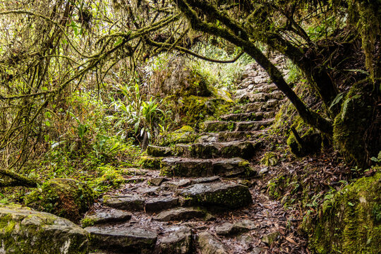Steps leading to Machu Picchu mountain, Peru
