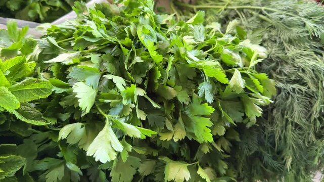 Bright parsley and dill bundles displayed on bazaar counter with fresh aromatic texture and healthy farm herb atmosphere for cooking and natural food.