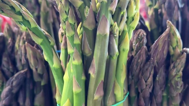 Green asparagus bunches neatly tied and displayed for sale on bazaar counter with fresh farm texture and seasonal spring vegetable atmosphere.
