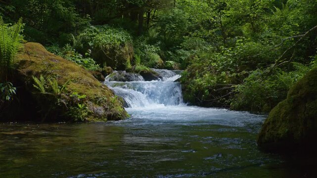 small waterfall of mountain river in the forest. Trout fishing. Ariege Pyrenees France