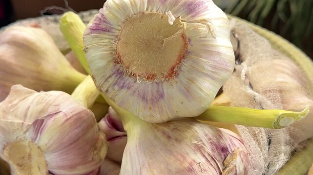 Young garlic bulbs with fresh green stalks arranged on plate with natural rustic texture and healthy countryside harvest atmosphere at local market.