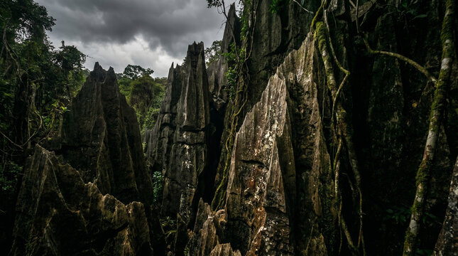 Ancient tsingy limestone spires with deep shadow contrast under an overcast storm light sky