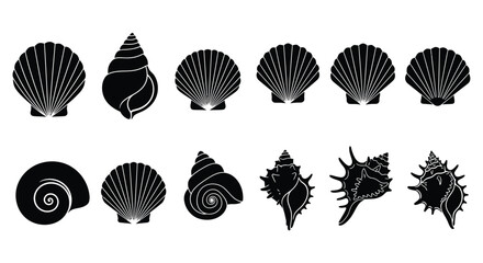 Collection of black and white seashell silhouettes arranged in neat rows © MMHS_STUDIO