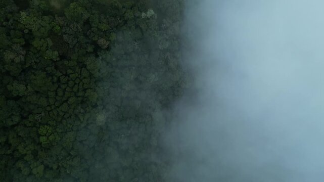 Pedra Do Bau Mountain Peak Fog Clouds Climbing Mountaineering Serra Mantiqueira Adventure Tourism Hiking Rock Formation Summit Wilderness Nature Landscape Scenic Brazil South America Outdoor Explorer