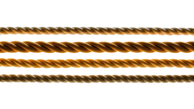 Isolated four parallel natural fiber ropes showing strong twisted texture and detail close up