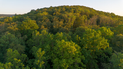 Obraz premium Aerial view of dense forested hills in rural Germany during warm golden hour light