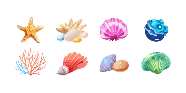Collection of colorful sea shells and marine life, vector