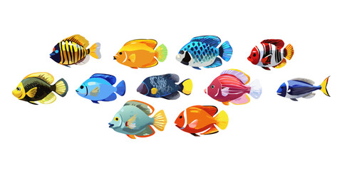 Obraz premium Collection of colorful tropical reef fish, vector