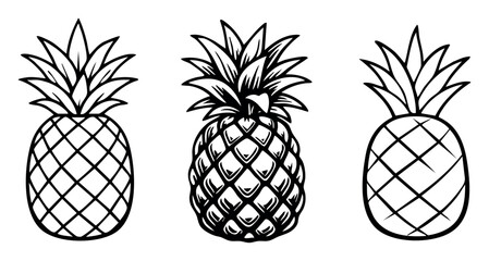 Fototapeta premium Three distinct pineapple illustrations with varied styles, including outlines and a detailed retro design, perfect for summer themes