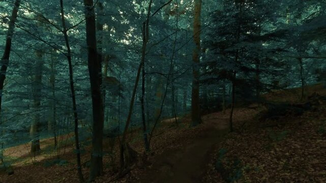 Hiking through a forest of deciduous trees, on a small path, dark and moody