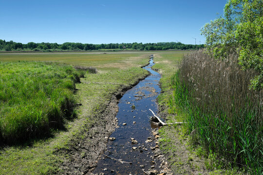 Dreifelder Weiher der Westerw&auml;lder Seenplatte nach Ablassen des Wassers wegen Reparaturarbeiten im Mai 2026 - Stockfoto