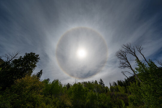 Brilliant sun halo above Main Elk Creek Road in White River National Forest in Garfield County, Colorado on sunny spring morning.